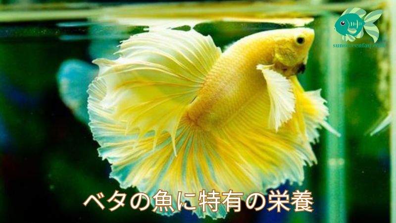 ベタの魚に特有の栄養