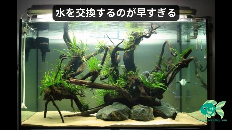 魚はウォーターショックに苦しむの原因