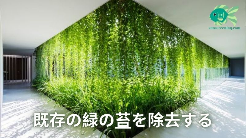 既存の緑の苔を除去する