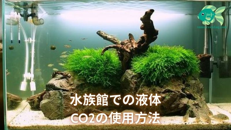 水族館での液体CO2の使用方法