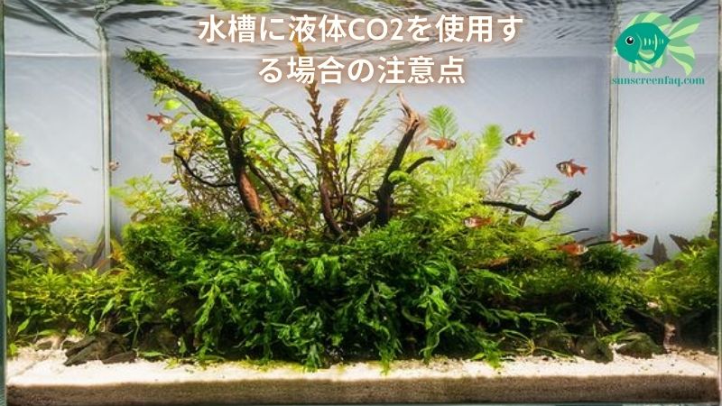 水槽に液体CO2を使用する場合の注意点