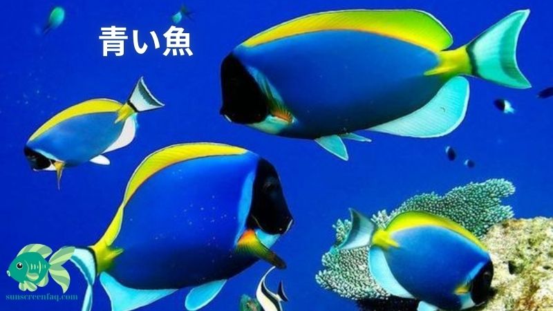 青い魚