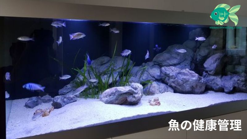 魚の健康管理