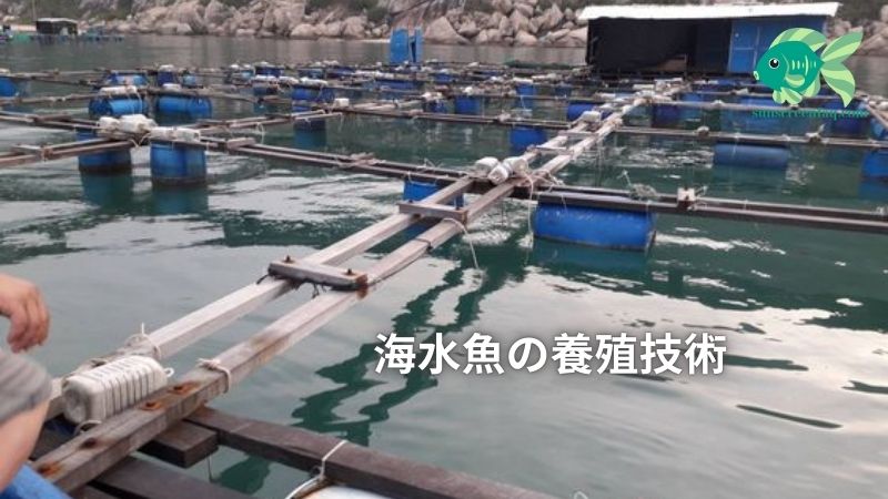 海水魚の養殖技術