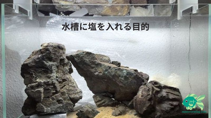 水槽に塩を入れる目的