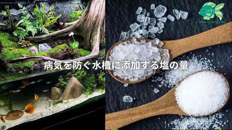 病気を防ぐ水槽に添加する塩の量