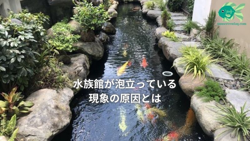 水族館が泡立っている現象の原因とは