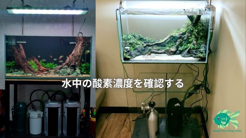 水中の酸素濃度を確認する