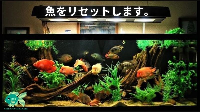 魚をリセットします。