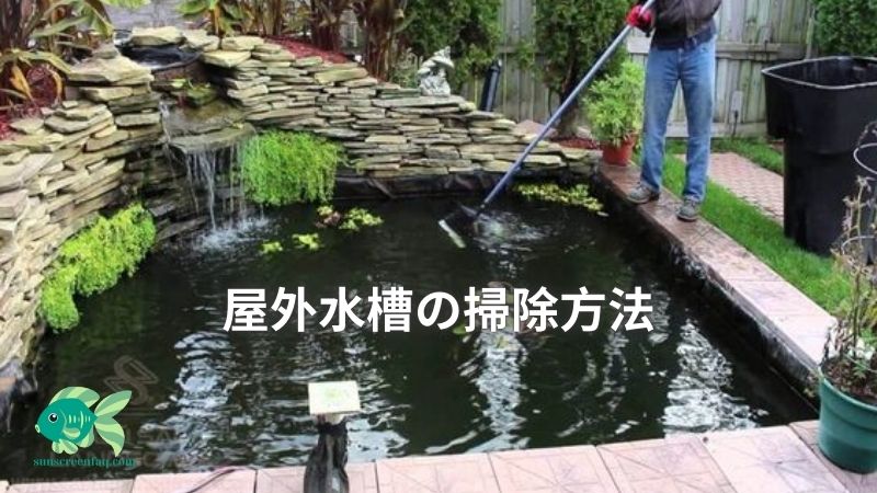 屋外水槽の掃除方法